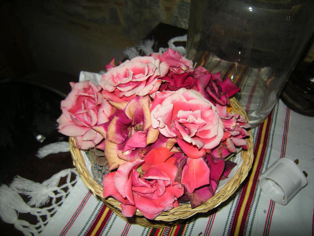 Lasmari'S Bouquet Sykopetra Camera foto